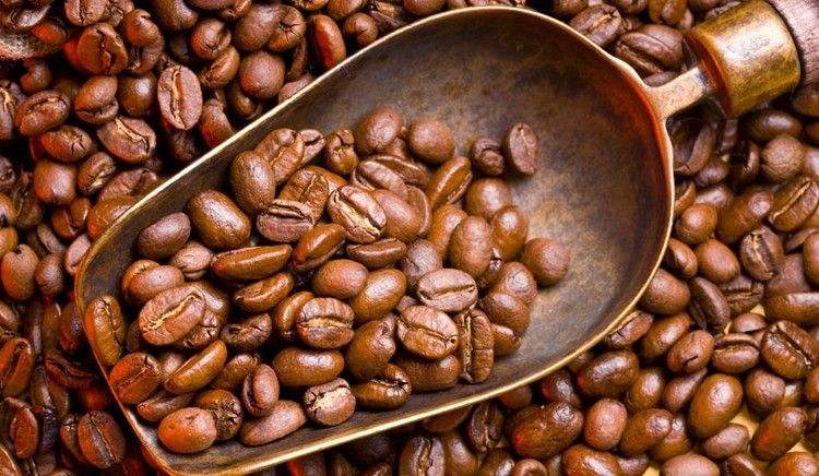 咖啡豆11.jpg